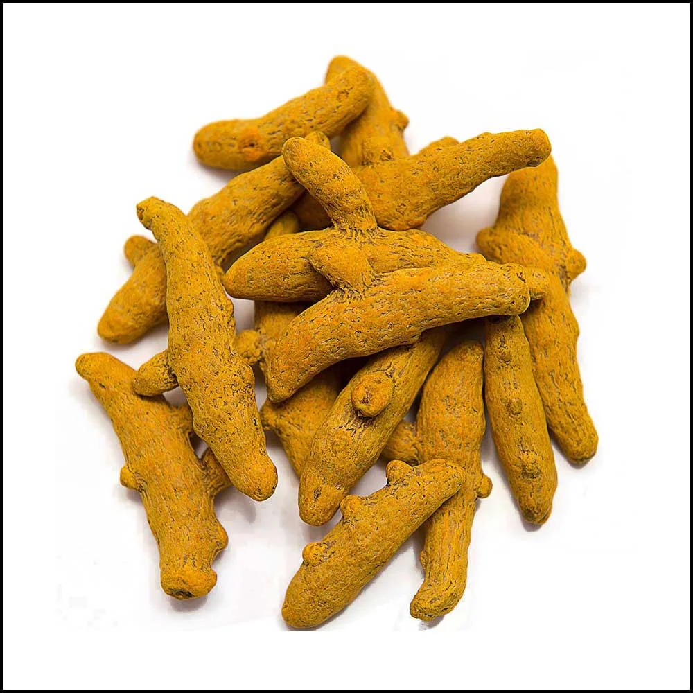 Turmeric Finger Salem