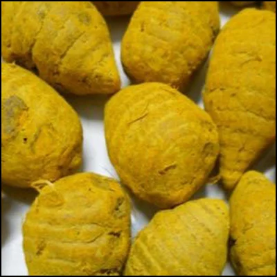 Turmeric Root
