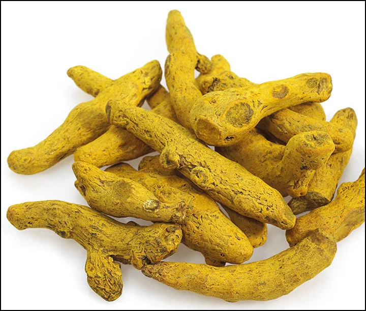 Turmeric Finger Erode